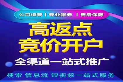 实战派心得：百度竞价代理案例解读与优化技巧
